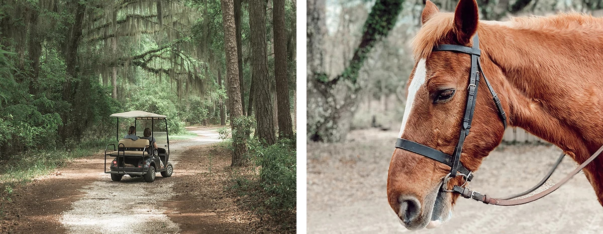 two people in a golf cart; horse