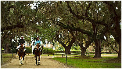 horseback riding boone hall plantation mount pleasant