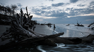 Boneyard Beach, Bulls Island