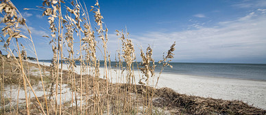 Uncover the Secrets of Daufuskie Island