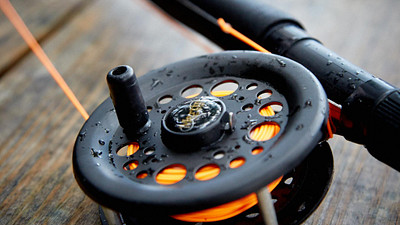 reel into spring live video series