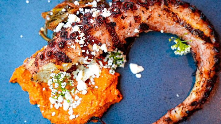 tender, grilled octopus.