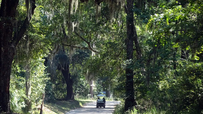 golf cart,  Daufuskie Island 
