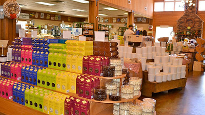 pecan young plantation store florence