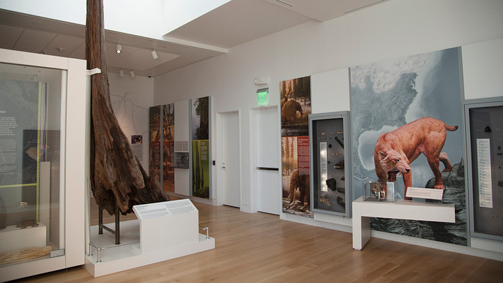 The Florence Museum.