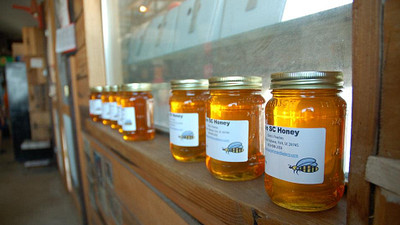 South Carolina Honey