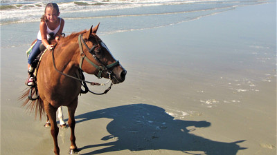 girl on horse on the beach