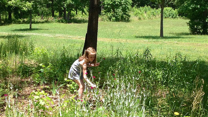 little girl with a toy musket