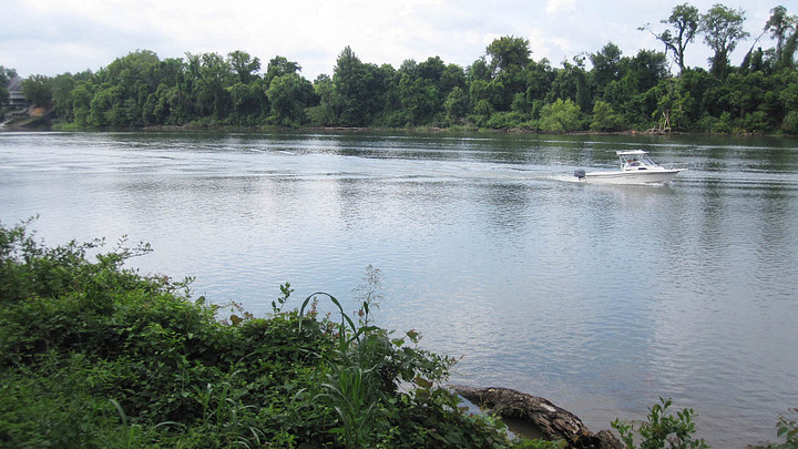 Boat on the Savannah River with trees along the shore