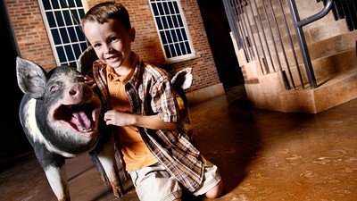 From Museums to Plantations, Greenville Has a Rich Heritage